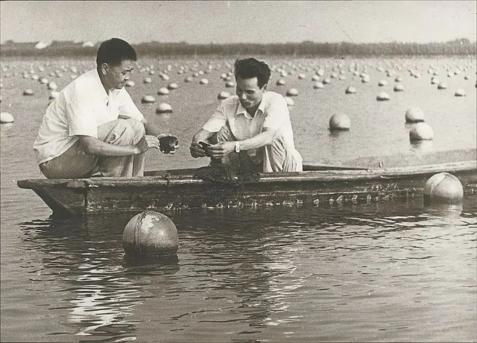 640 (9).jpg 640 (9).jpg